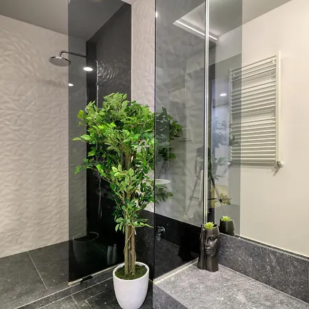 Penthouse Floreasca *